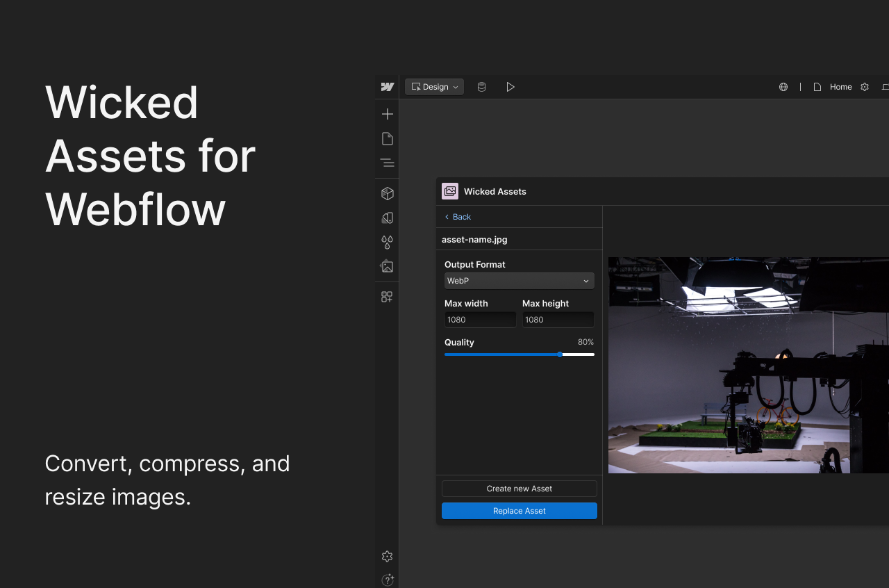 Wicked Assets for Webflow
